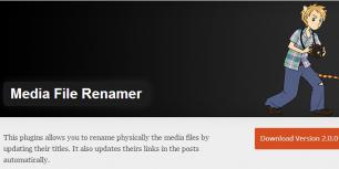 Media File Renamer