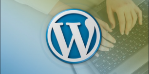 WordPress Plugin Development – Build 14 Plugins – Bruce Chamoff | Udemy